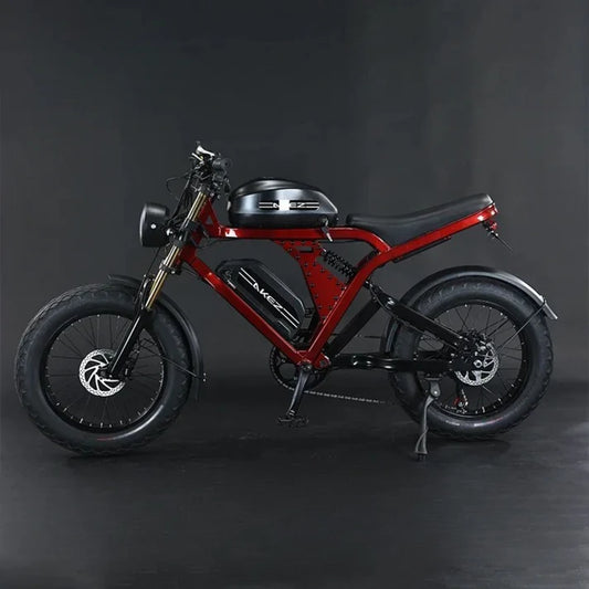 1500W Electric Bike with 52V 55Ah Battery | 20-Inch Fat Tires, Aluminum Frame, Off-Road & City E-Bike