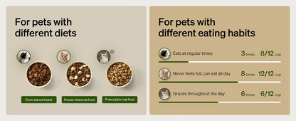 5G Automatic Cat Feeder with App Control & Light Collar Tag – 3L Capacity