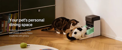 5G Automatic Cat Feeder with App Control & Light Collar Tag – 3L Capacity