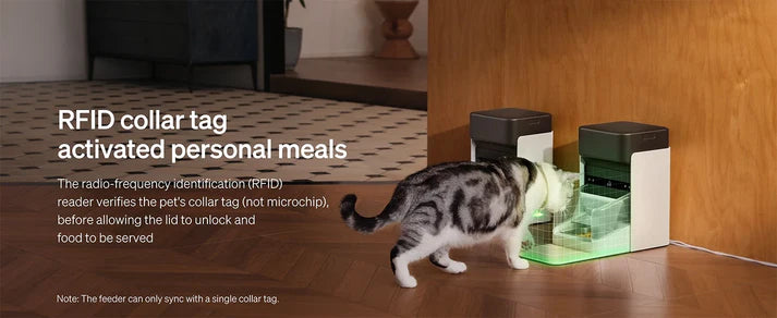 5G Automatic Cat Feeder with App Control & Light Collar Tag – 3L Capacity