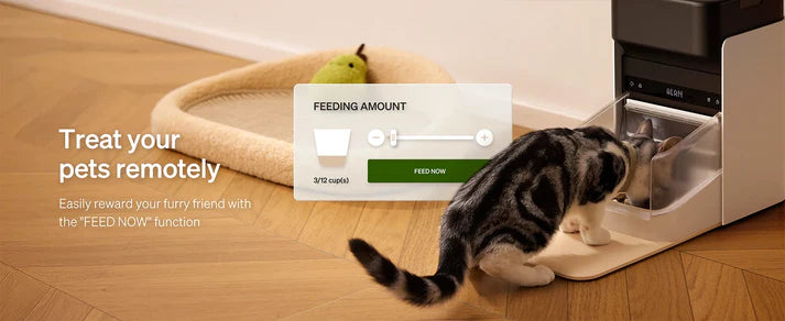 5G Automatic Cat Feeder with App Control & Light Collar Tag – 3L Capacity