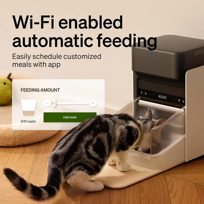 5G Automatic Cat Feeder with App Control & Light Collar Tag – 3L Capacity