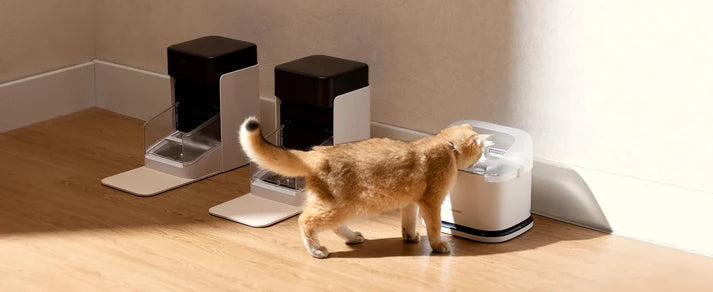 5G Automatic Cat Feeder with App Control & Light Collar Tag – 3L Capacity