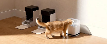 5G Automatic Cat Feeder with App Control & Light Collar Tag – 3L Capacity
